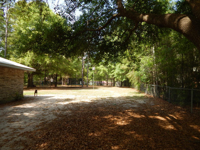6076 Bud Moulton Road Crestview, FL 32536 - Photo 9 of 45 Gallery Image 9
