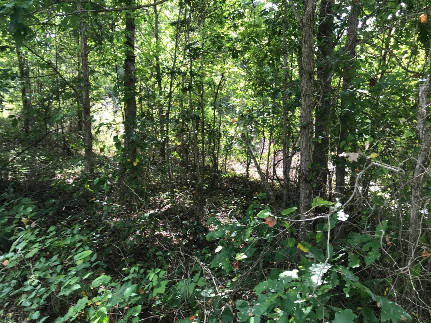 9999 Ben House Road London, KY 40741 - Photo 3 of 7 Photo 3