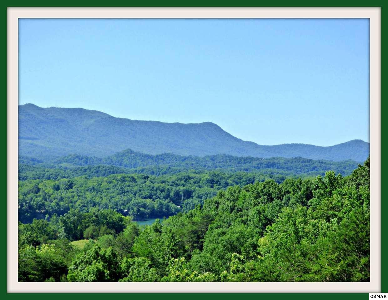 1 Swannsylvania Road Dandridge, TN 37725 - Photo 1 of 1 Gallery Image 1