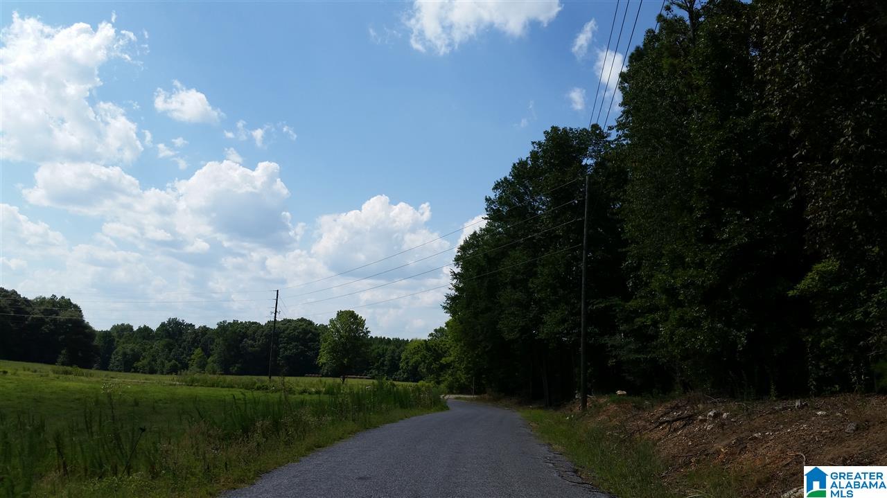 1885 Brooks Lake Road Lincoln, AL 35096 - Photo 23 of 30