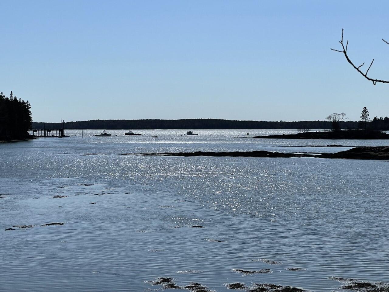 Lot 15-5 Fort Williams Road Harrington, ME 04643 - Photo 2 of 19