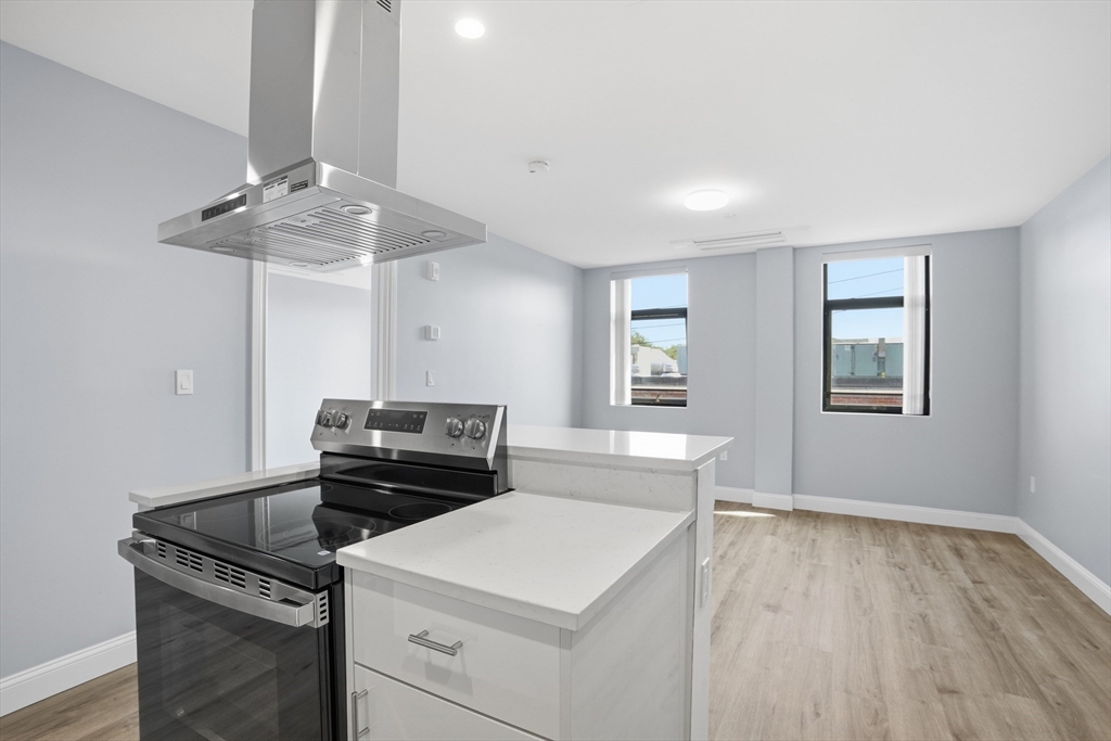 632 Centre Street, Unit 305 Boston, MA 02130 - Photo 6 of 15