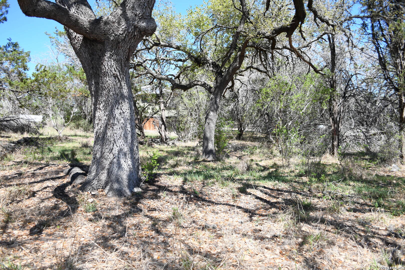 1361 Hidden Valley Drive Spring Branch, TX 78070 - Photo 4 of 28