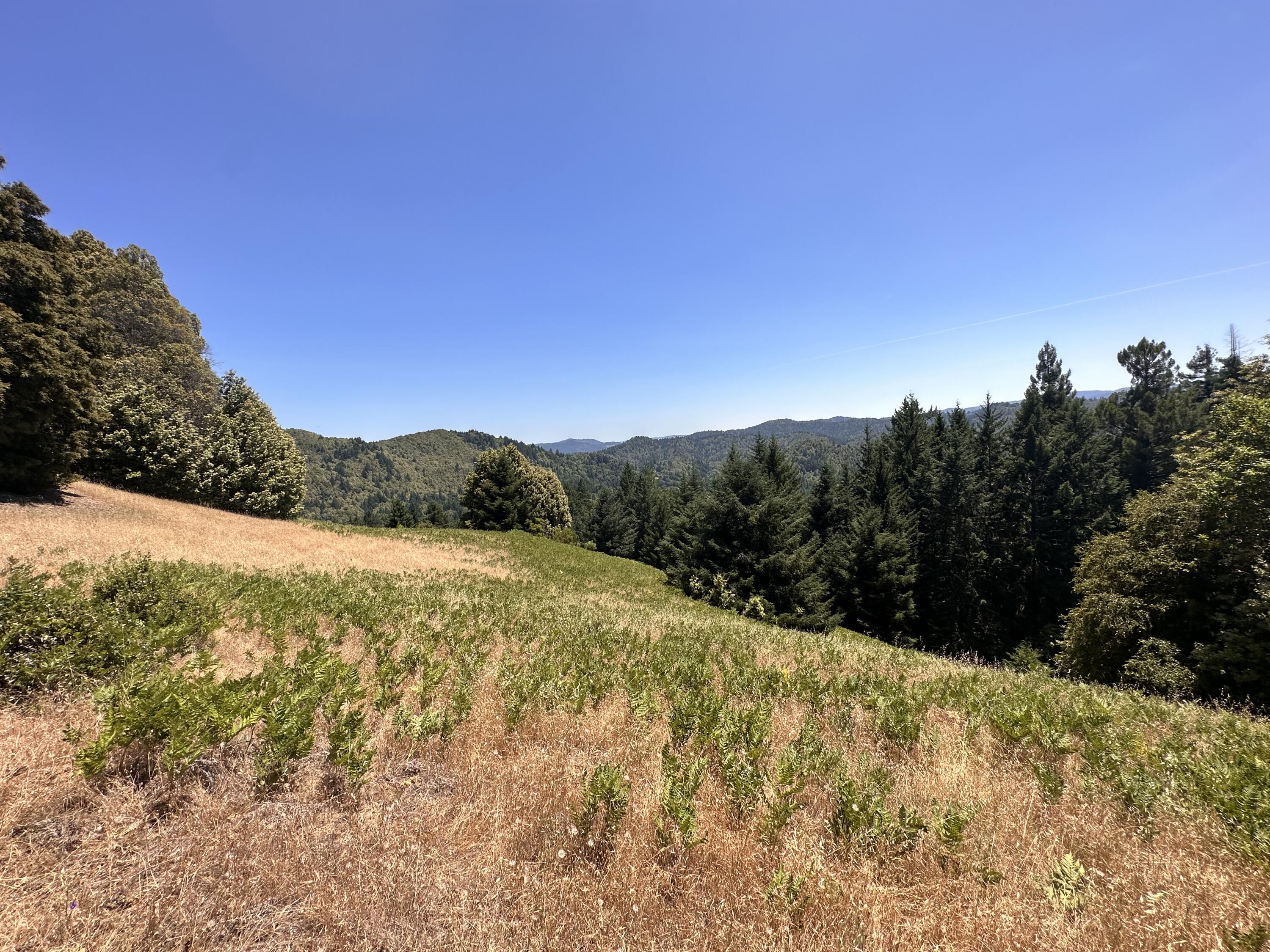 950 Powell Crk Road Garberville, CA 95542 - Photo 27 of 78