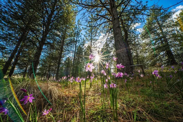 $2,247,000 | 2012 South Molter Road, Liberty Lake, WA 99019