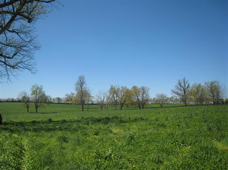 4750 Lexington Road Paris, KY 40361 - Photo 31 of 41 Photo 32