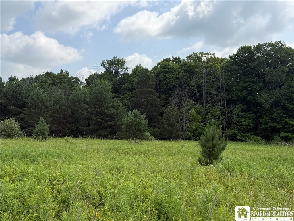 2751 Canfield Road Cohocton, NY 14826 - Photo 8 of 50