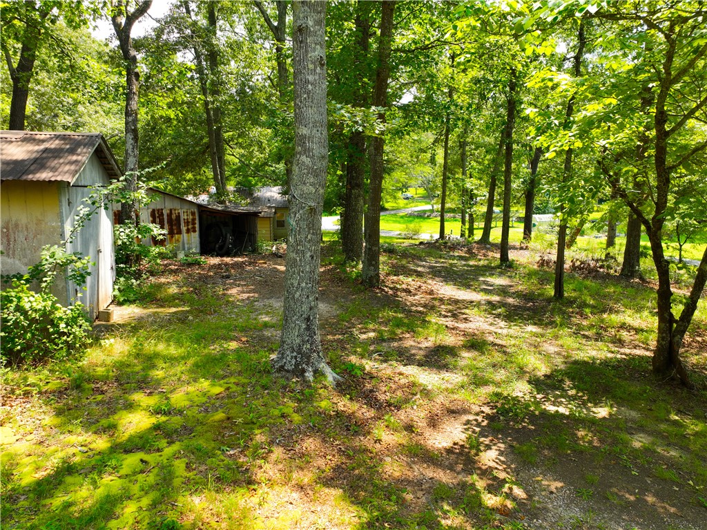 1198 Mize Road Belton, SC 29627 - Photo 11 of 50