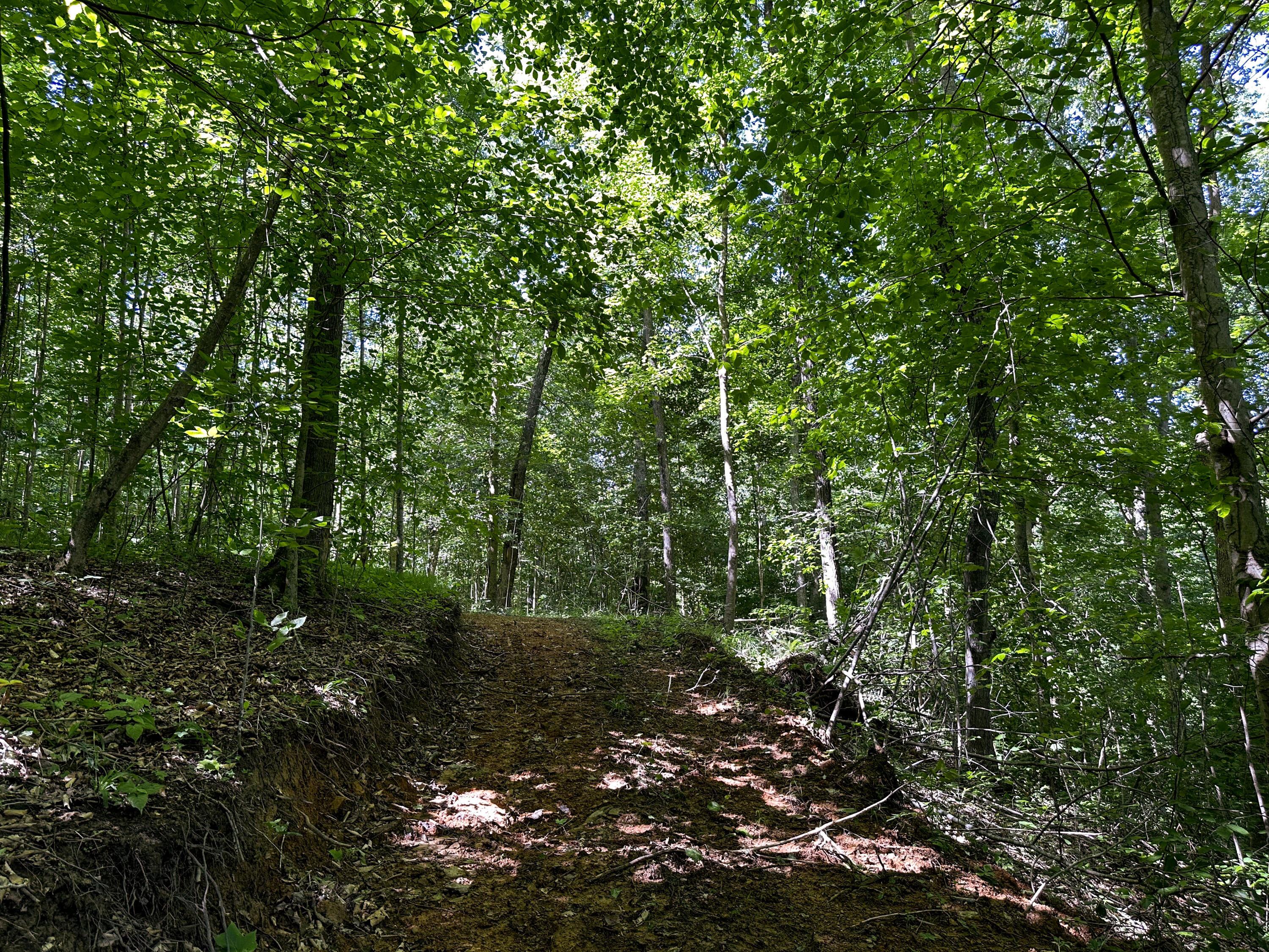 1725 Hull Road, Unit TRACT 4 WOODS WAYNE FOREST) Patriot, OH 45658 - Photo 9 of 45 11