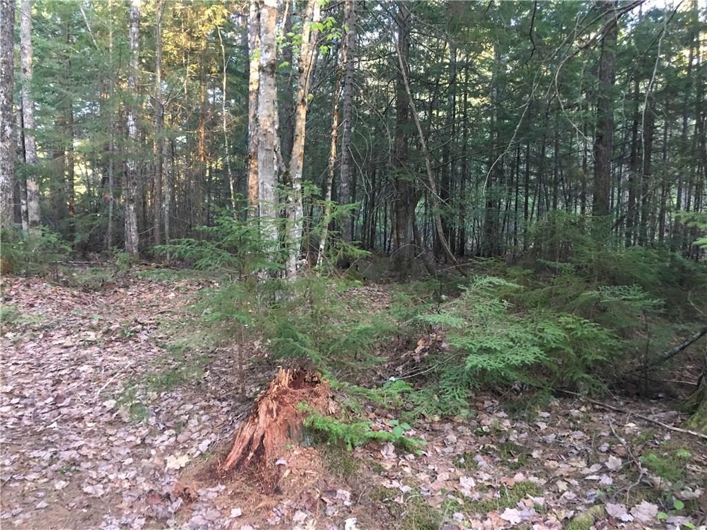 0 Maxfield Road Lagrange, ME 04453 - Photo 12 of 27 Maine Riverfront Land for Sale