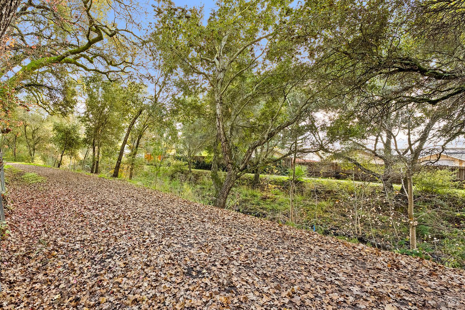 1733 Burgundy Place Santa Rosa, CA 95403 - Photo 23 of 23 Santa Rosa walking path