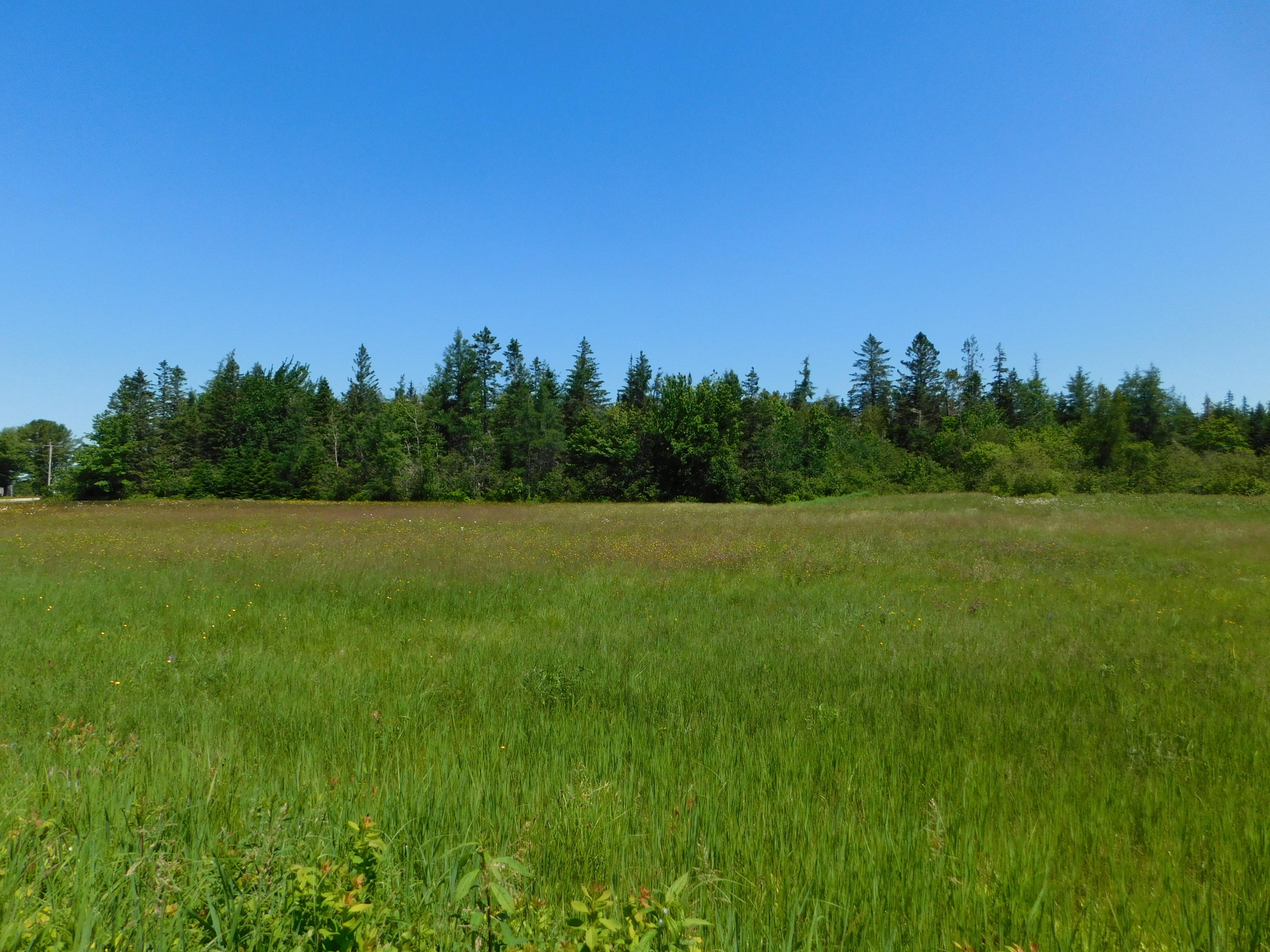 420 Garnet Head Road Pembroke, ME 04666 - Photo 5 of 37 DSCN0064
