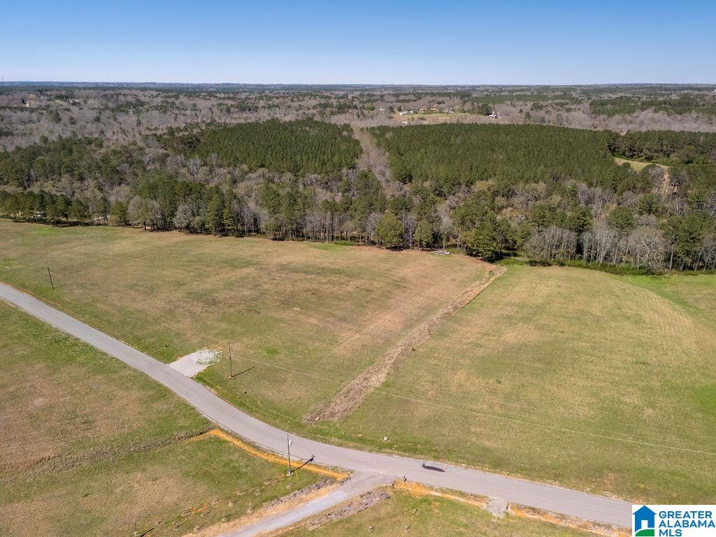 Bluegrass Lane, Unit 11 Jasper, AL 35503 - Photo 21 of 38