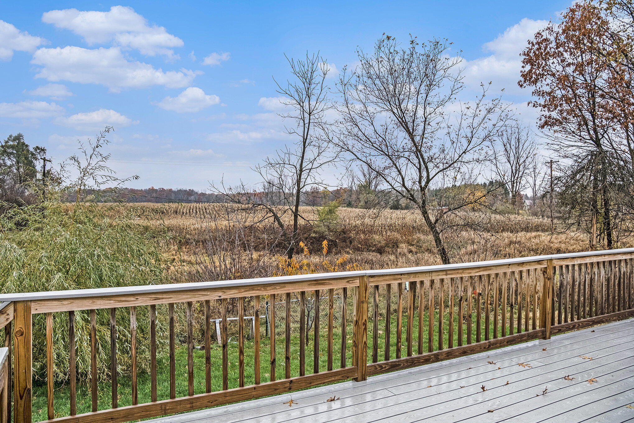 15810 Gorton Road Grass Lake, MI 49240 - Photo 24 of 36 007_sbp_5_574