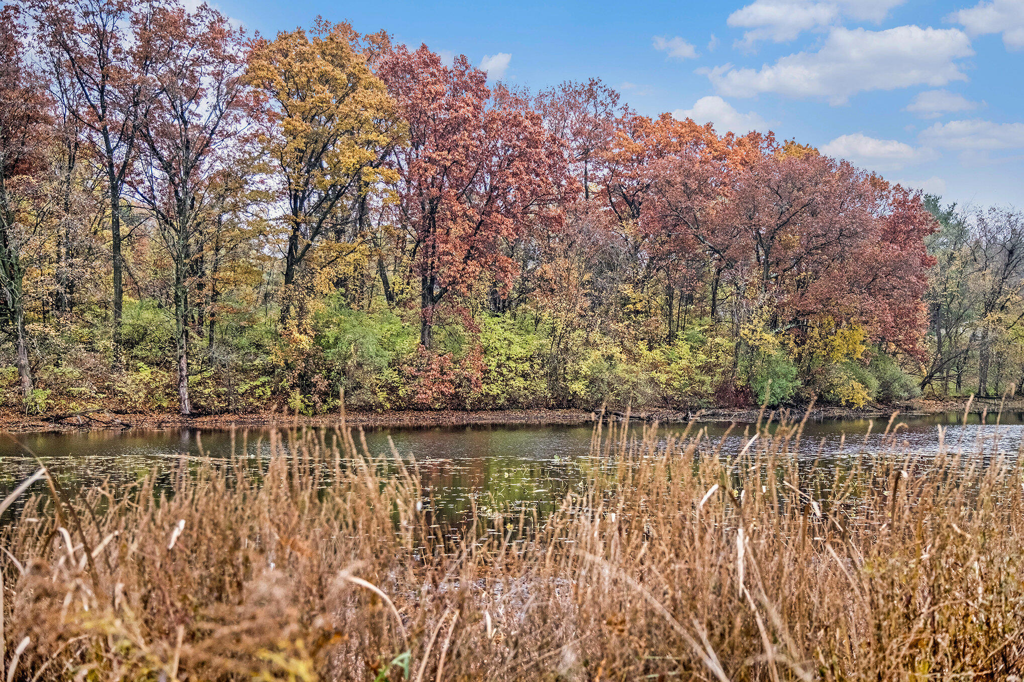 15810 Gorton Road Grass Lake, MI 49240 - Photo 26 of 36 016_sbp_13_516