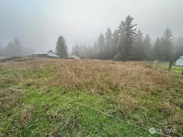 a view of outdoor space and a yard
