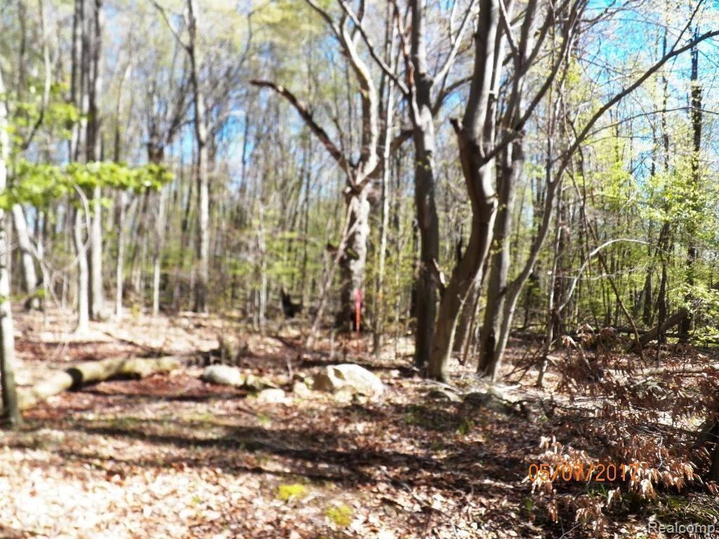 0 Connell Road Emmett, MI 48022 - Photo 10 of 16