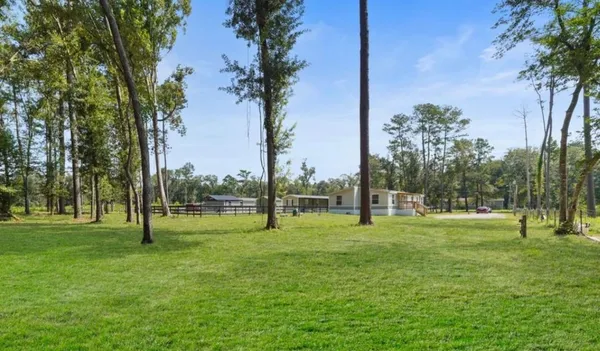 a view of field with tall trees
