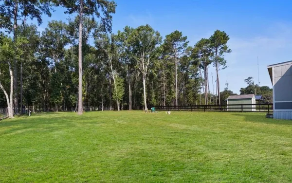 a view of a grassy field with trees