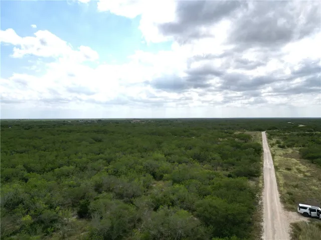 a view of a city with lush green forest