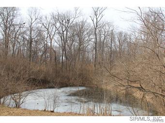 6237 Kk Road Waterloo, IL 62298 - Photo 22 of 24