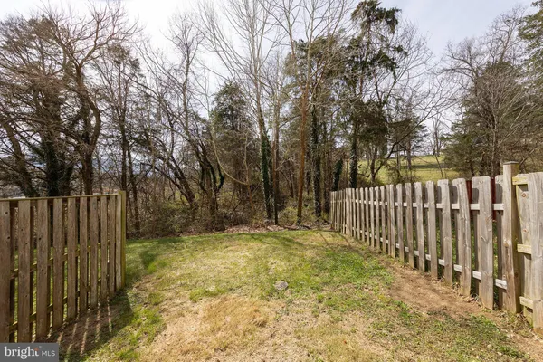 a view of backyard with trees