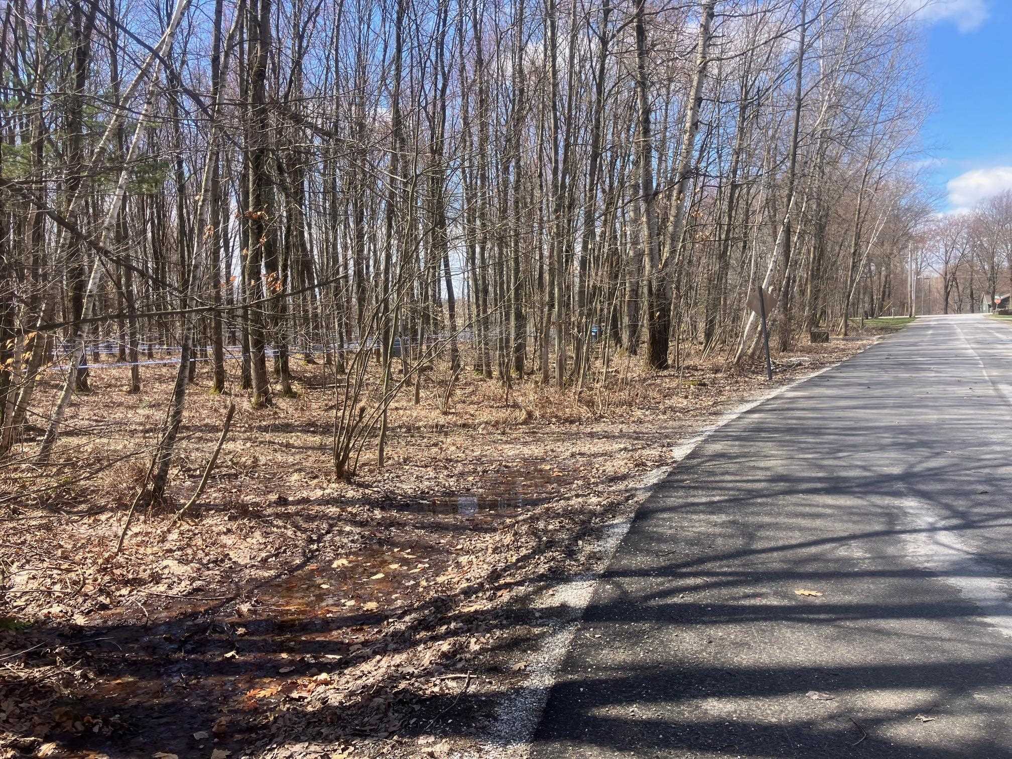 74 Jedware Circle, Unit LOT 101 Swanton, VT 05488 - Photo 6 of 17