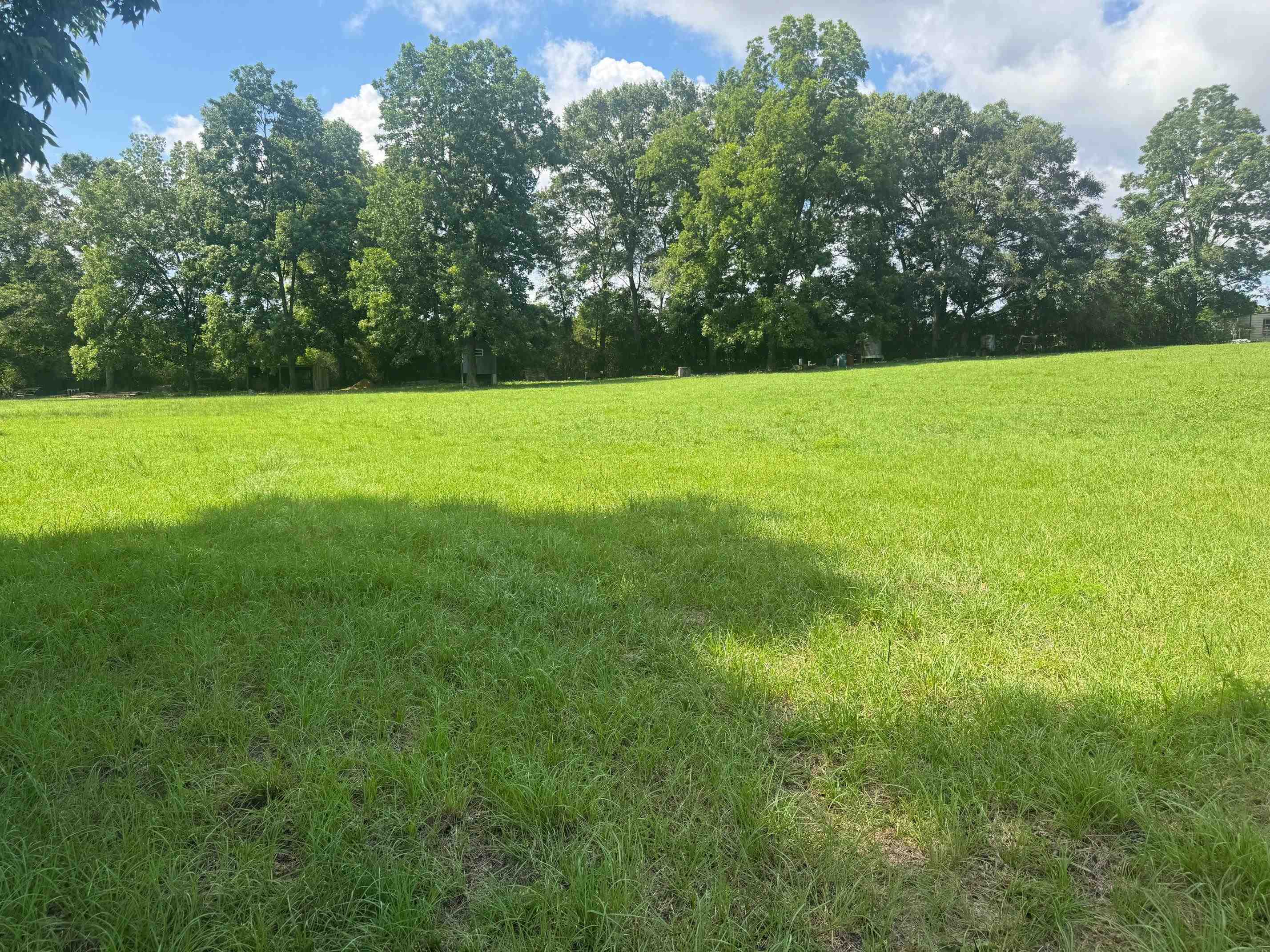 19238 Tt Clark Road Opp, AL 36467 - Photo 17 of 49 Gallery Image 17