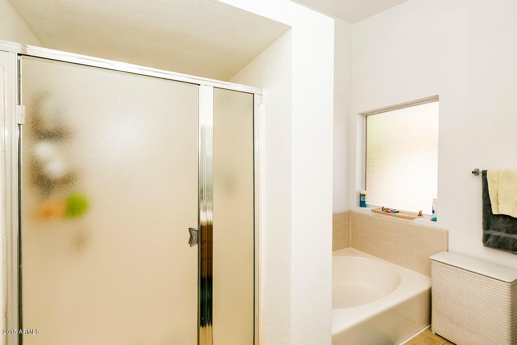 4754 East Redfield Road Phoenix, AZ 85032 - Photo 35 of 43 4745_E_Redfield_Rd_AZ-26