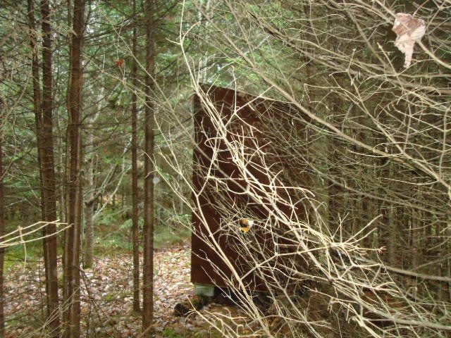 41 Daniel Beard Road Pittsburg, NH 03592 - Photo 23 of 30 Gallery Image 23