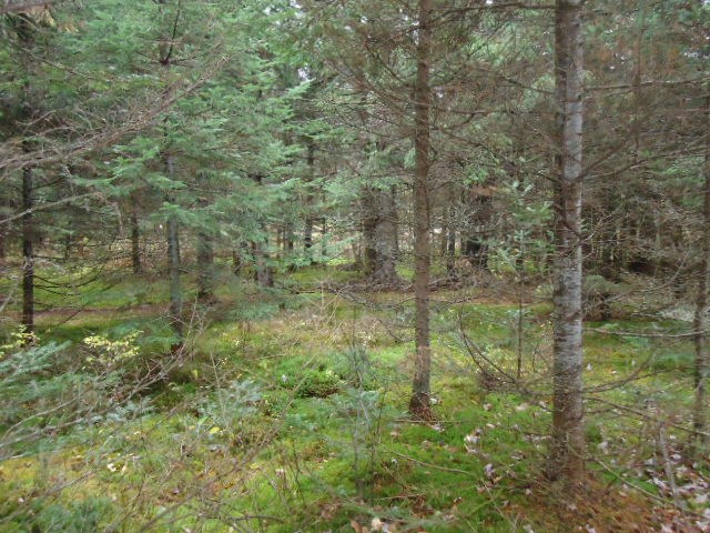 41 Daniel Beard Road Pittsburg, NH 03592 - Photo 24 of 30 Gallery Image 24
