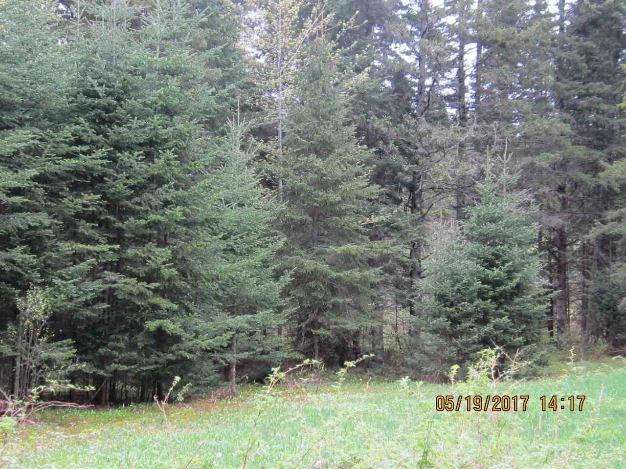 41 Daniel Beard Road Pittsburg, NH 03592 - Photo 26 of 30 Gallery Image 26