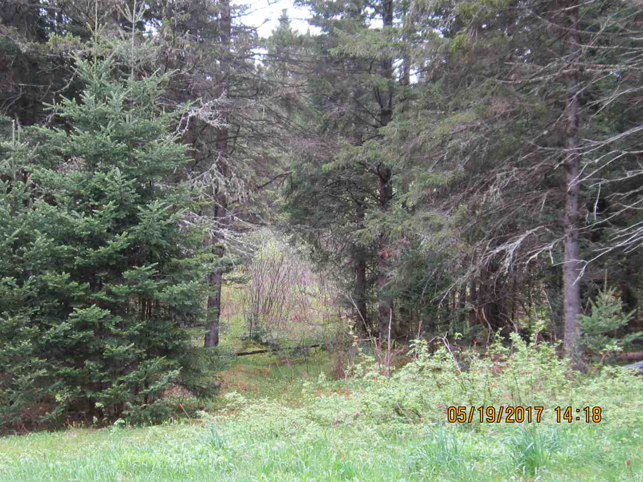 41 Daniel Beard Road Pittsburg, NH 03592 - Photo 27 of 30 Gallery Image 27