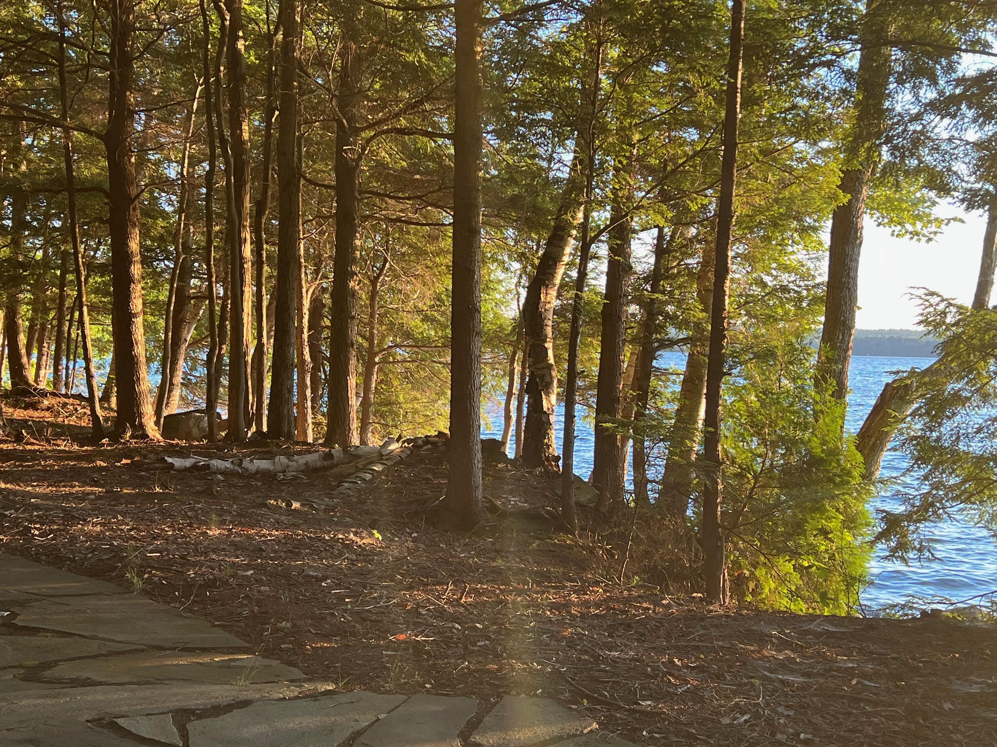 37 Parkhill Pt Road Belgrade, ME 04917 - Photo 37 of 63 pat 7