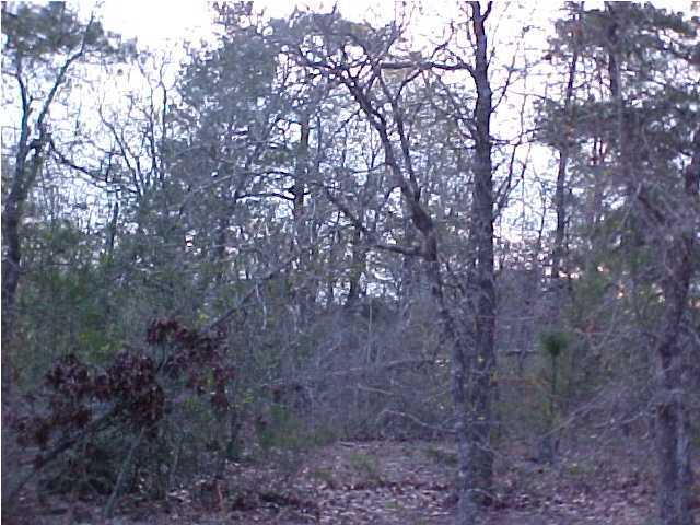 Lot 14 Michaelangelo Road DeFuniak Springs, FL 32433 - Photo 1 of 4 Primary Photo