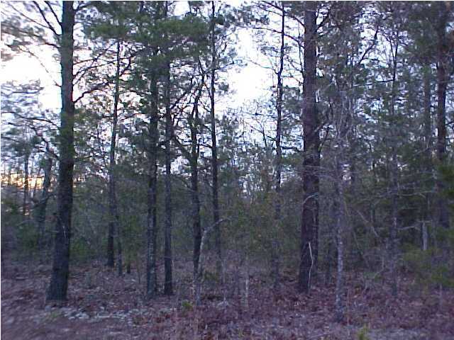 Lot 14 Michaelangelo Road DeFuniak Springs, FL 32433 - Photo 2 of 4 Additional Photo