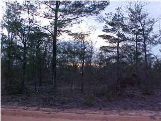 Lot 14 Michaelangelo Road DeFuniak Springs, FL 32433 - Photo 3 of 4 Additional Photo