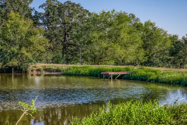 a view of a lake with a bench and trees in the background