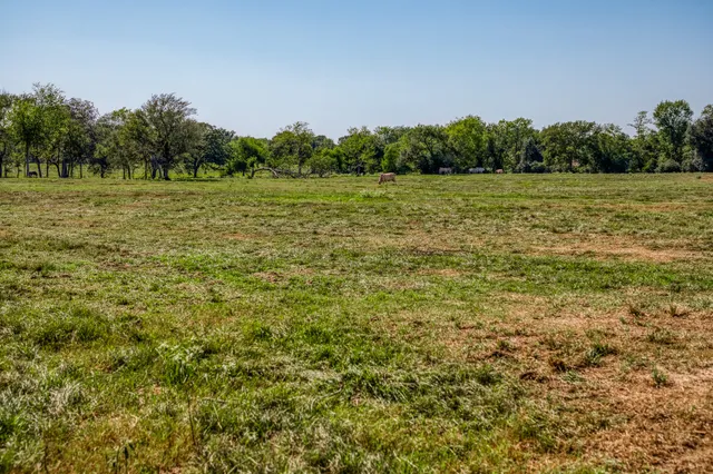 a view of a field with trees in the background