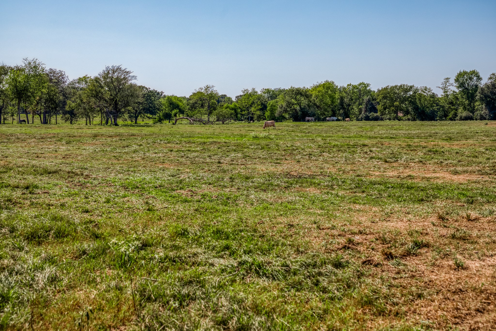 5344 Andert Road Bryan, TX 77808 - Photo 29 of 50 a view of a field with trees in the background