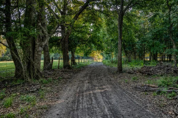 a view of outdoor space with lots of trees