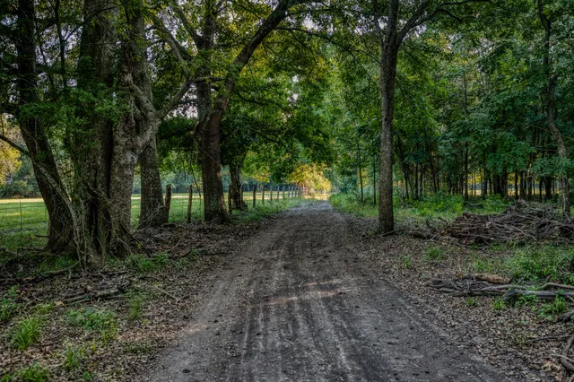 a view of outdoor space with lots of trees