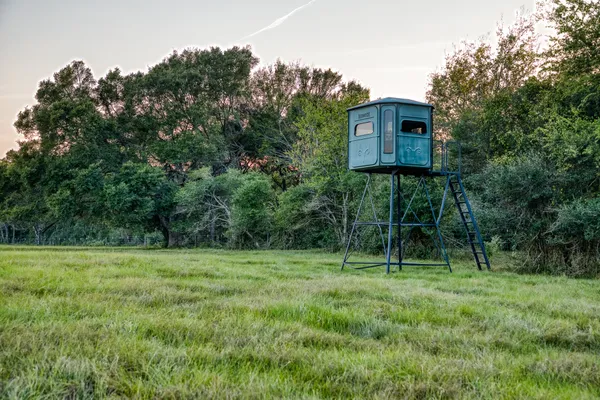 a view of a tiny house with a backyard
