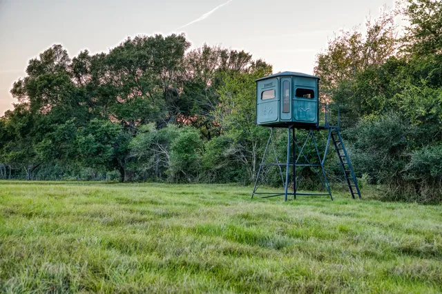 a view of a tiny house with a backyard