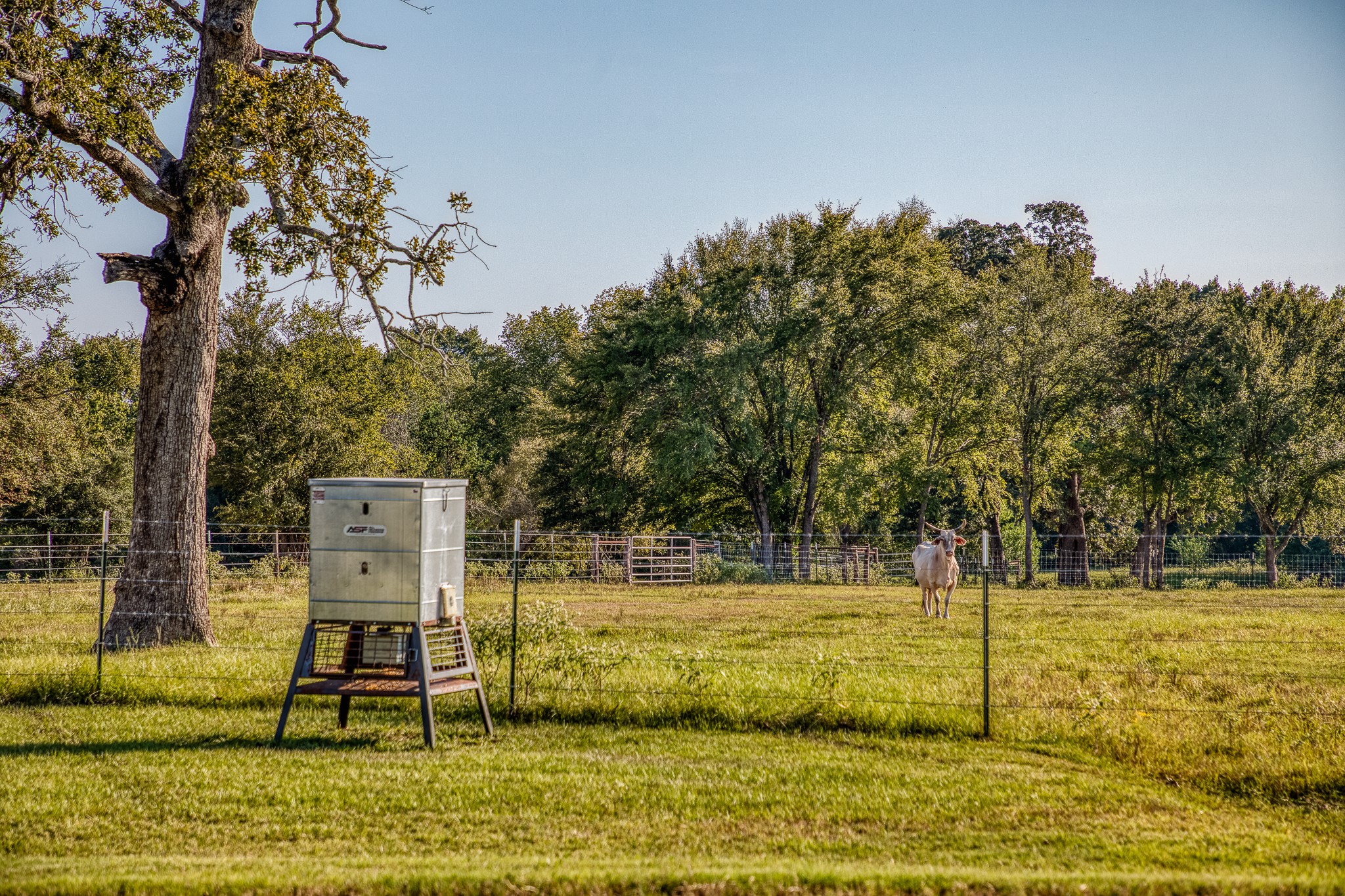 5344 Andert Road Bryan, TX 77808 - Photo 34 of 50 a view of a swimming pool with a patio