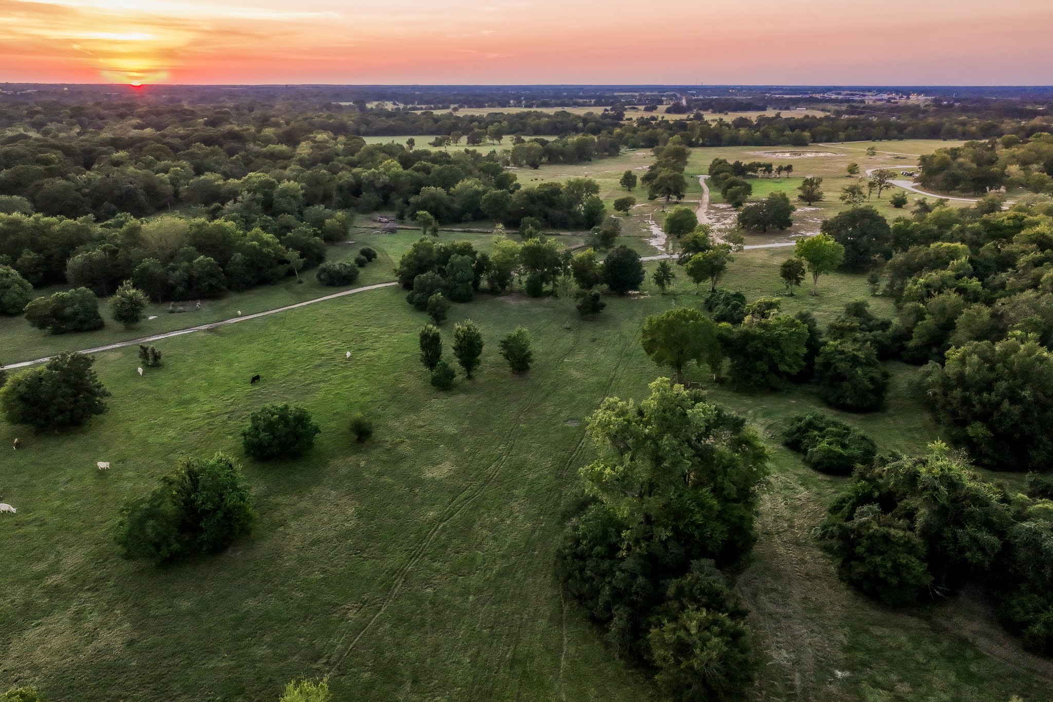 5344 Andert Road Bryan, TX 77808 - Photo 36 of 50 a view of a lush green forest with a lake