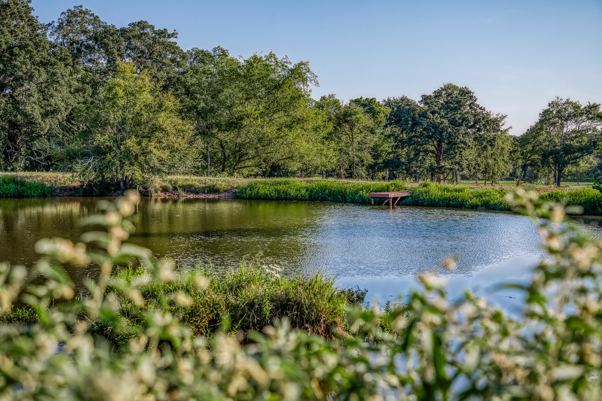 5344 Andert Road Bryan, TX 77808 - Photo 37 of 50 an aerial view of a houses with a lake view