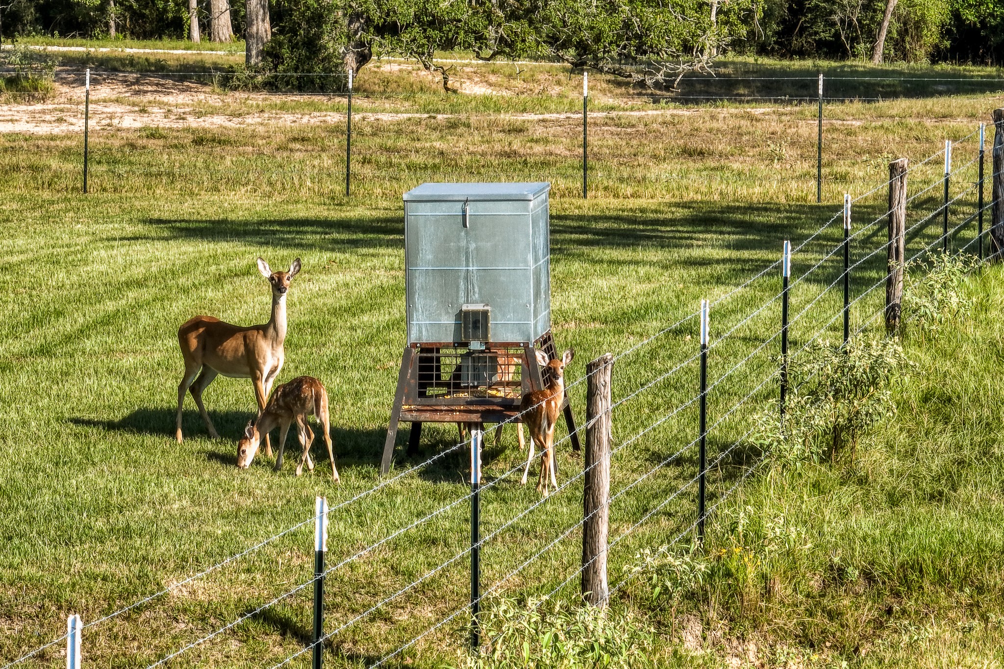 5344 Andert Road Bryan, TX 77808 - Photo 39 of 50 a view of ocean from a chair