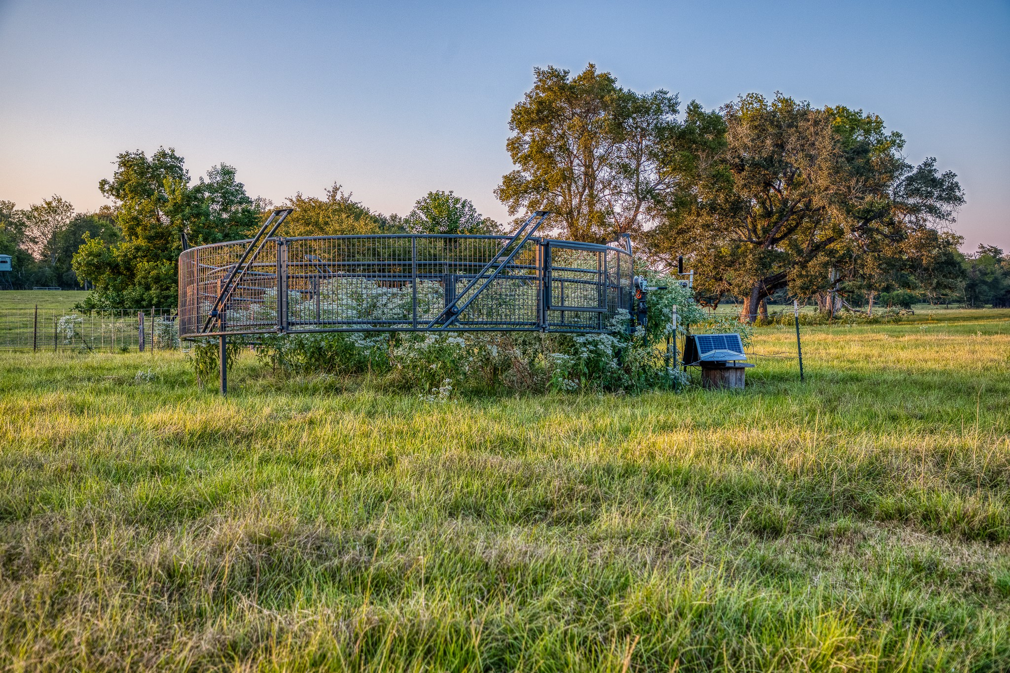 5344 Andert Road Bryan, TX 77808 - Photo 40 of 50 a backyard of a house with lots of green space