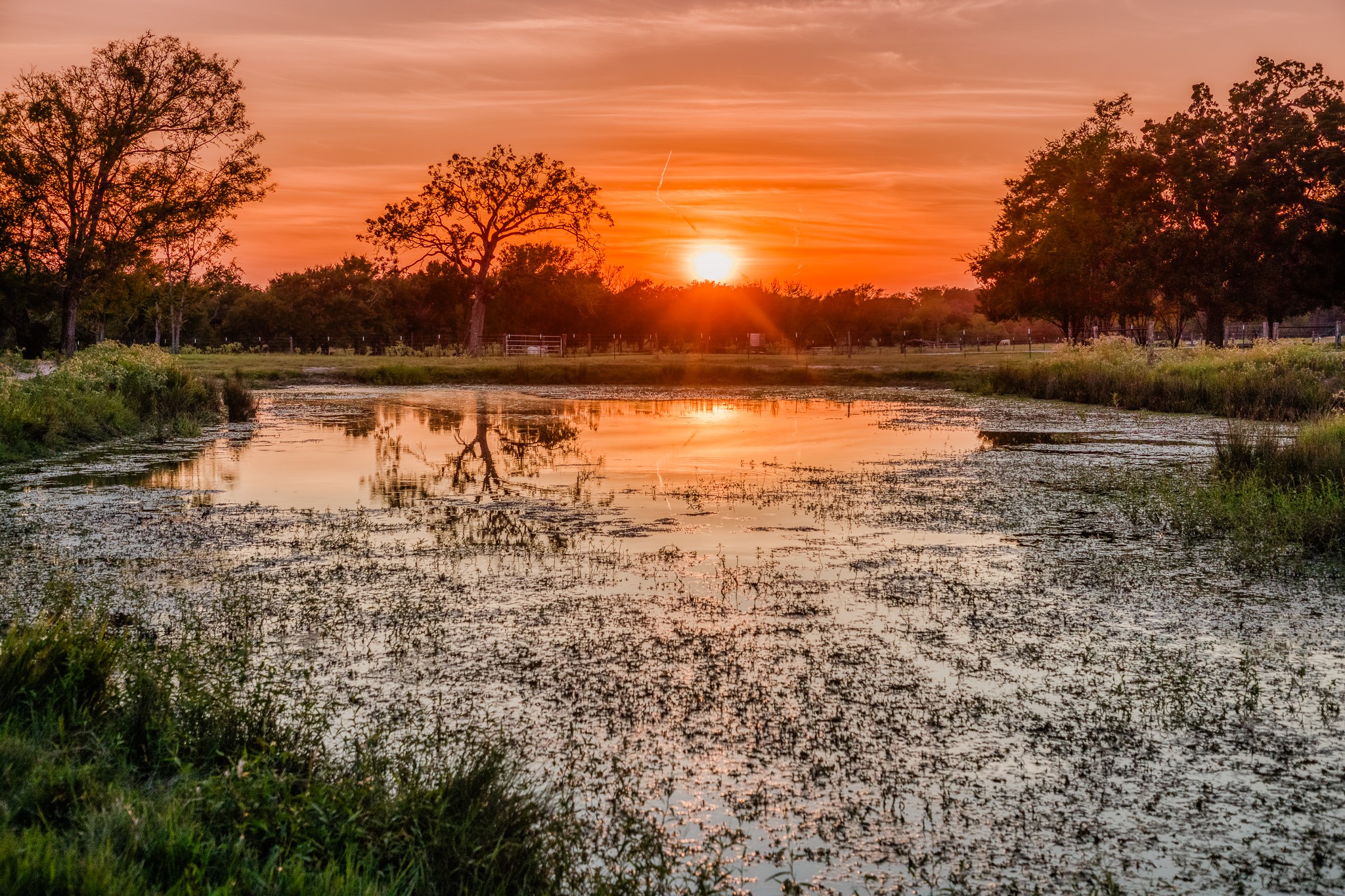 5344 Andert Road Bryan, TX 77808 - Photo 42 of 50 a view of a lake view